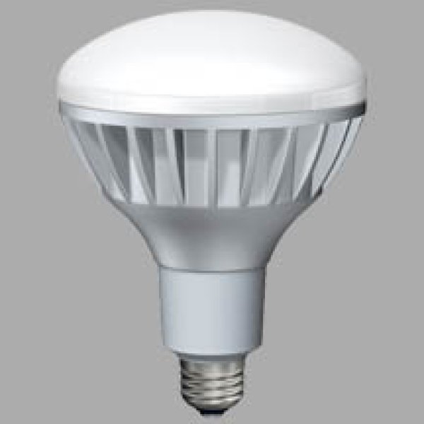 画像1: 【バラ】東芝 LDR100/200V13N-H ●LED電球 E-CORE[イー・コア] チョークレス水銀ランプ形 反射形 160W形相当 ■昼白色相当 全光束1600lm 【E26口金】 〔LEDREAL〕 防水・防雨型対応 (1)