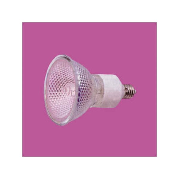 画像1: パナソニック JDR110V65WKN/7E11N 狭角 ダイクロビーム 130W形 E11口金■10本セット (1)